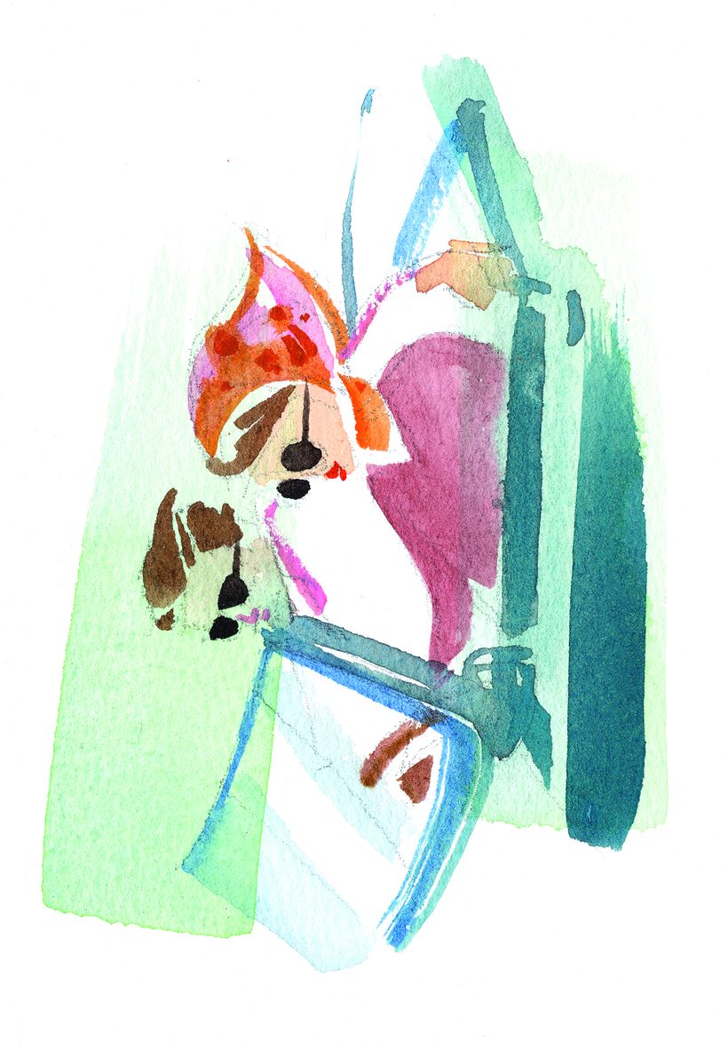 Vroom with a view, a watercolour illustration by Lihuà from the Daydreams collection.